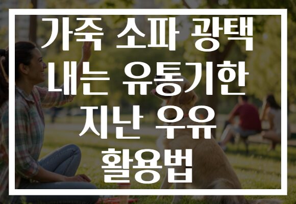 가죽 소파 광택 내는 유통기한 지난 우유 활용법