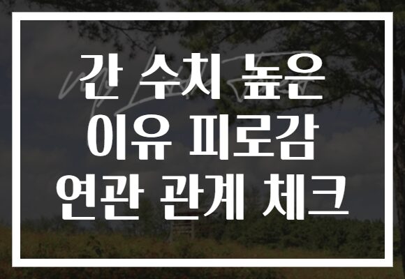 간 수치 높은 이유 피로감 연관 관계 체크