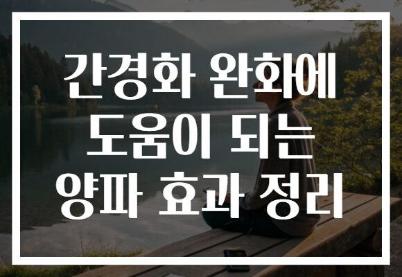 간경화 완화에 도움이 되는 양파 효과 정리