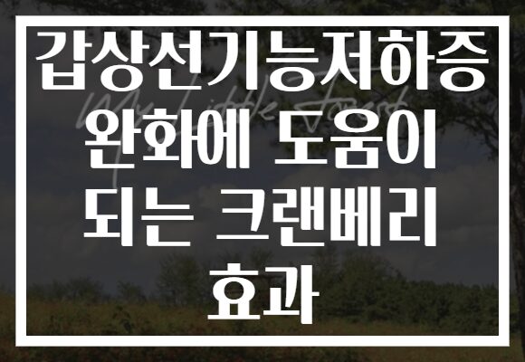 갑상선기능저하증 완화에 도움이 되는 크랜베리 효과