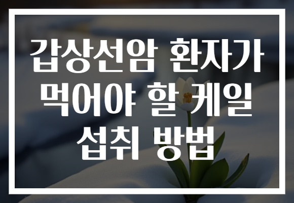 갑상선암 환자가 먹어야 할 케일 섭취 방법