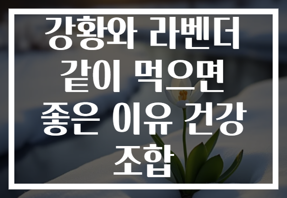 강황와 라벤더 같이 먹으면 좋은 이유 건강 조합
