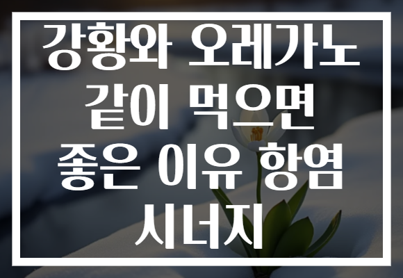 강황와 오레가노 같이 먹으면 좋은 이유 항염 시너지