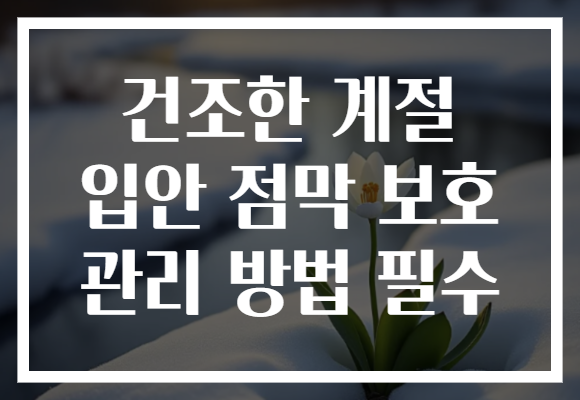 건조한 계절 입안 점막 보호 관리 방법 필수