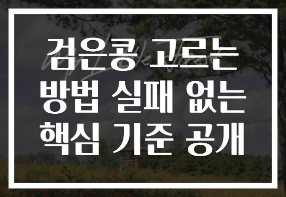 검은콩 고르는 방법 실패 없는 핵심 기준 공개
