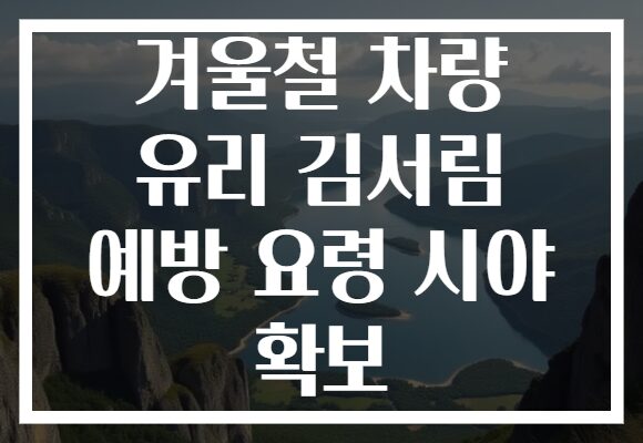 겨울철 차량 유리 김서림 예방 요령 시야 확보