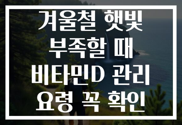 겨울철 햇빛 부족할 때 비타민D 관리 요령 꼭 확인