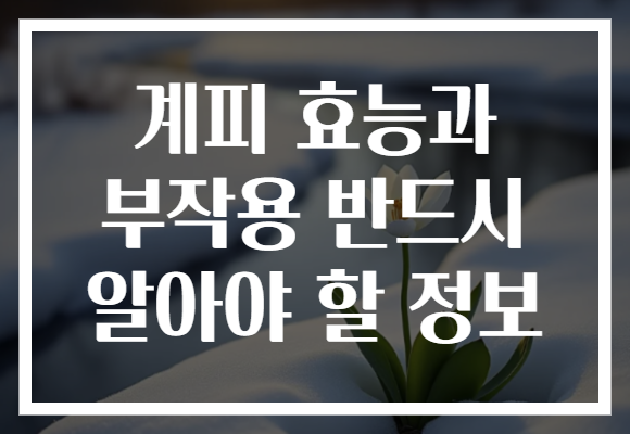 계피 효능과 부작용 반드시 알아야 할 정보