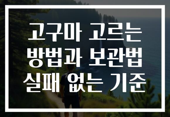 고구마 고르는 방법과 보관법 실패 없는 기준