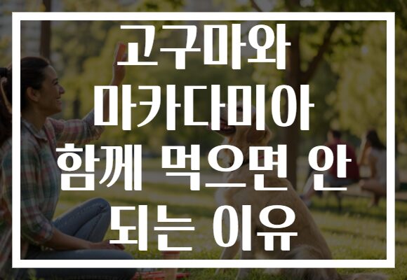 고구마와 마카다미아 함께 먹으면 안 되는 이유