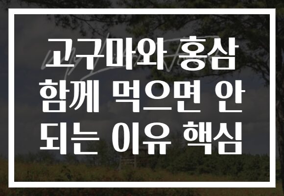 고구마와 홍삼 함께 먹으면 안 되는 이유 핵심