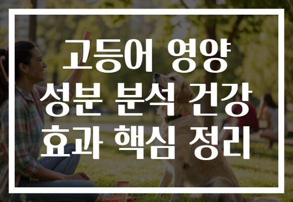 고등어 영양 성분 분석 건강 효과 핵심 정리