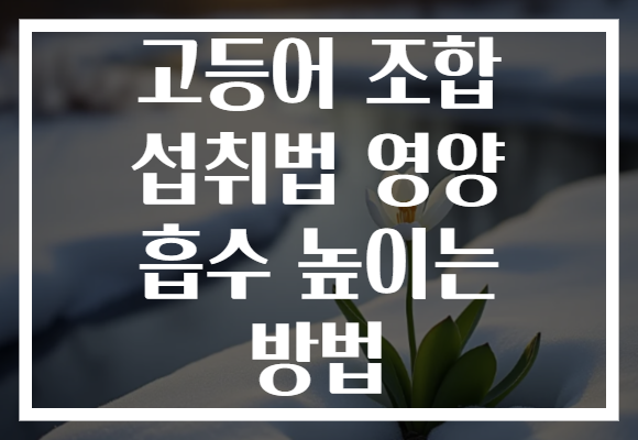 고등어 조합 섭취법 영양 흡수 높이는 방법