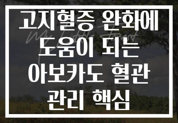 고지혈증 완화에 도움이 되는 아보카도 혈관 관리 핵심