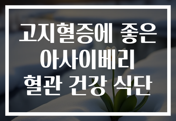 고지혈증에 좋은 아사이베리 혈관 건강 식단