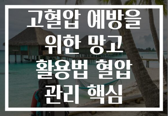 고혈압 예방을 위한 망고 활용법 혈압 관리 핵심
