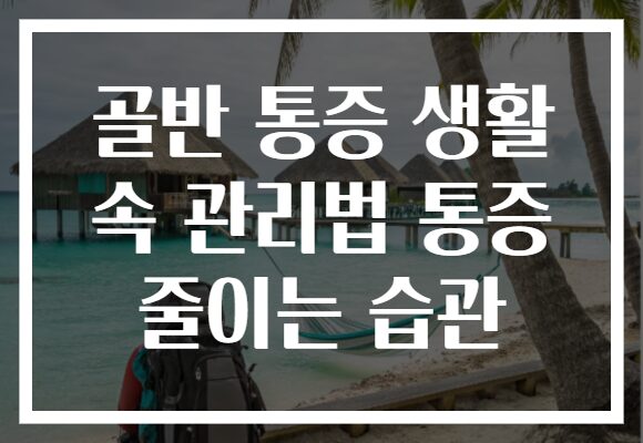 골반 통증 생활 속 관리법 통증 줄이는 습관