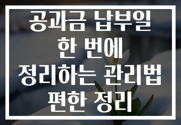공과금 납부일 한 번에 정리하는 관리법 편한 정리