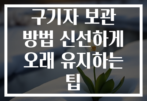 구기자 보관 방법 신선하게 오래 유지하는 팁