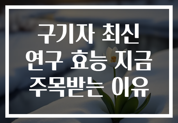 구기자 최신 연구 효능 지금 주목받는 이유