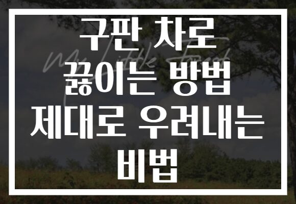 구판 차로 끓이는 방법 제대로 우려내는 비법