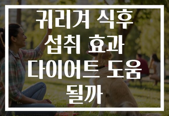 귀리겨 식후 섭취 효과 다이어트 도움 될까