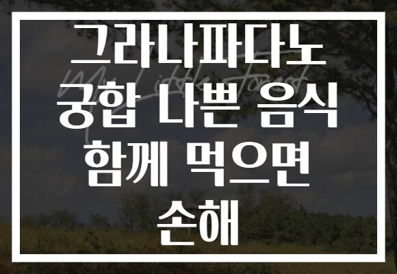 그라나파다노 궁합 나쁜 음식 함께 먹으면 손해