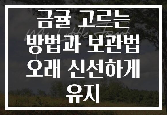 금귤 고르는 방법과 보관법 오래 신선하게 유지