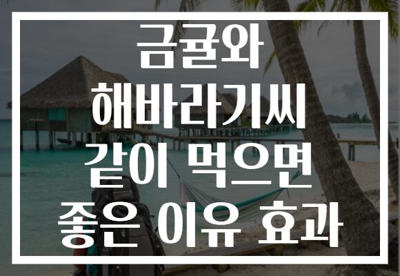 금귤와 해바라기씨 같이 먹으면 좋은 이유 효과