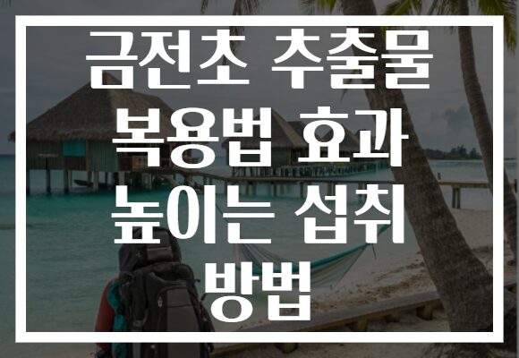 금전초 추출물 복용법 효과 높이는 섭취 방법