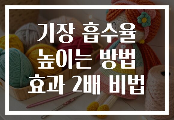 기장 흡수율 높이는 방법 효과 2배 비법