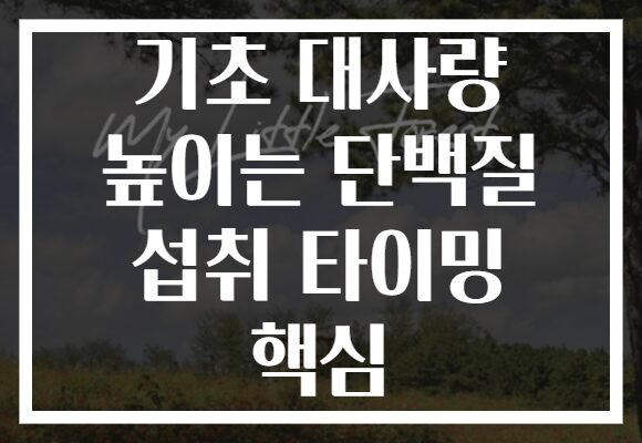 기초 대사량 높이는 단백질 섭취 타이밍 핵심