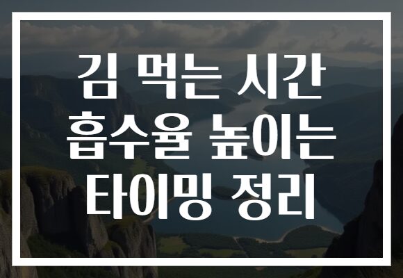 김 먹는 시간 흡수율 높이는 타이밍 정리