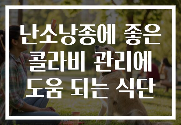 난소낭종에 좋은 콜라비 관리에 도움 되는 식단