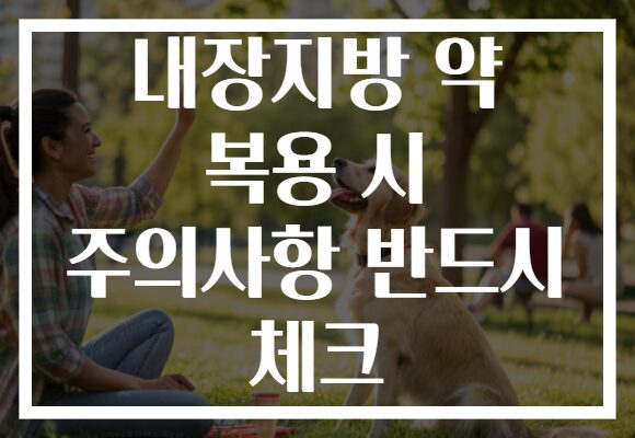 내장지방 약 복용 시 주의사항 반드시 체크