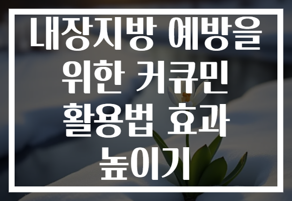 내장지방 예방을 위한 커큐민 활용법 효과 높이기