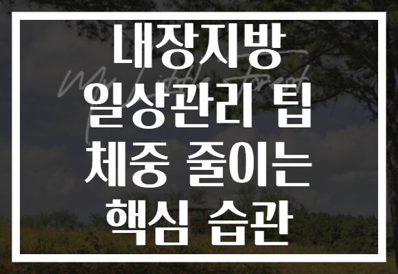내장지방 일상관리 팁 체중 줄이는 핵심 습관