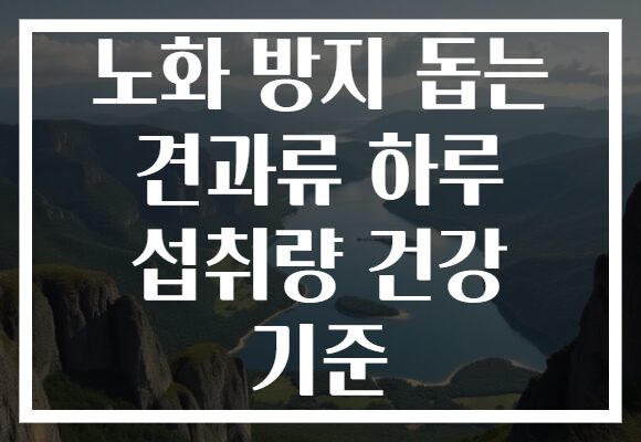 노화 방지 돕는 견과류 하루 섭취량 건강 기준