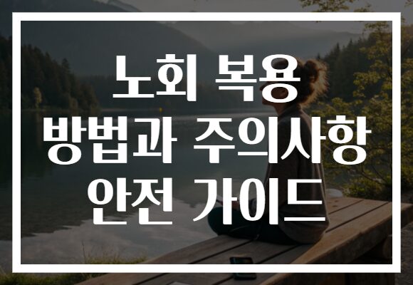 노회 복용 방법과 주의사항 안전 가이드