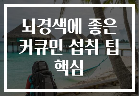 뇌경색에 좋은 커큐민 섭취 팁 핵심