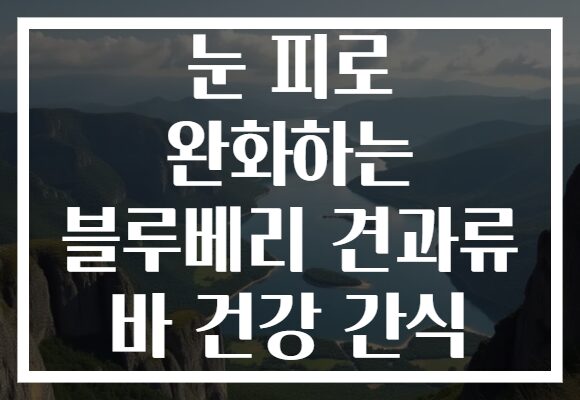눈 피로 완화하는 블루베리 견과류 바 건강 간식