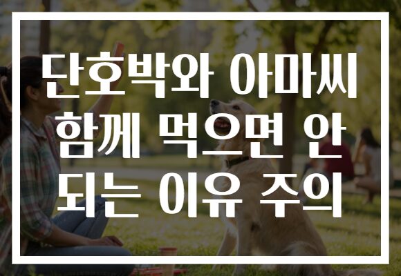 단호박와 아마씨 함께 먹으면 안 되는 이유 주의