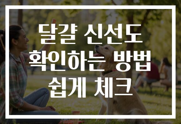 달걀 신선도 확인하는 방법 쉽게 체크