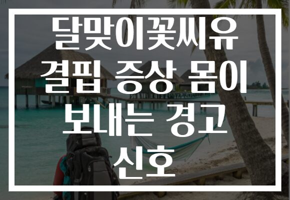달맞이꽃씨유 결핍 증상 몸이 보내는 경고 신호