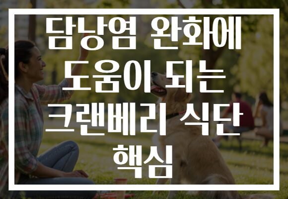 담낭염 완화에 도움이 되는 크랜베리 식단 핵심