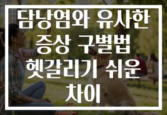 담낭염와 유사한 증상 구별법 헷갈리기 쉬운 차이