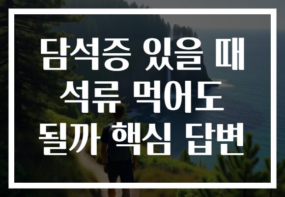 담석증 있을 때 석류 먹어도 될까 핵심 답변