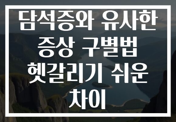 담석증와 유사한 증상 구별법 헷갈리기 쉬운 차이