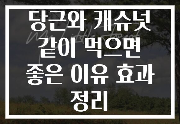 당근와 캐슈넛 같이 먹으면 좋은 이유 효과 정리