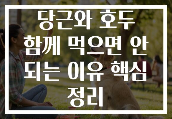 당근와 호두 함께 먹으면 안 되는 이유 핵심 정리